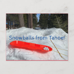 Snowballs from Tahoe! Postcard