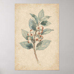 Snowberry Branch Botanical Print Berry Study