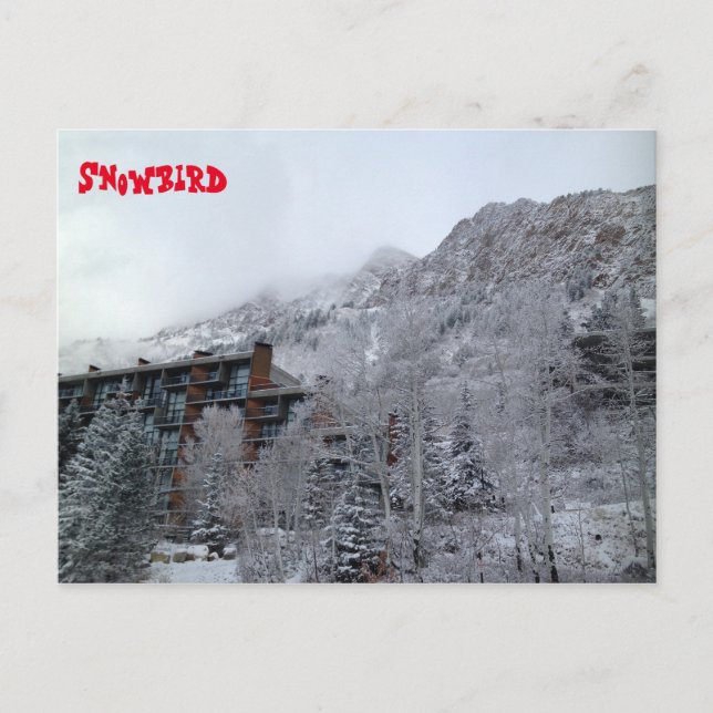 Snowbird Postcard (Front)