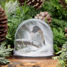 Snowbird Snow Globe