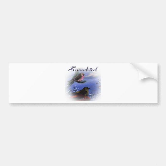 Snowbird violet bumper sticker (Front)