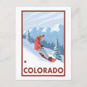 Snowboarder SceneColorado Postcard
