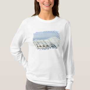 Snowcapped peaks Woodfjord Svalbard 2 T-Shirt