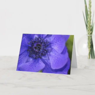 Snowcatcher Blue Windflower Birthday Card