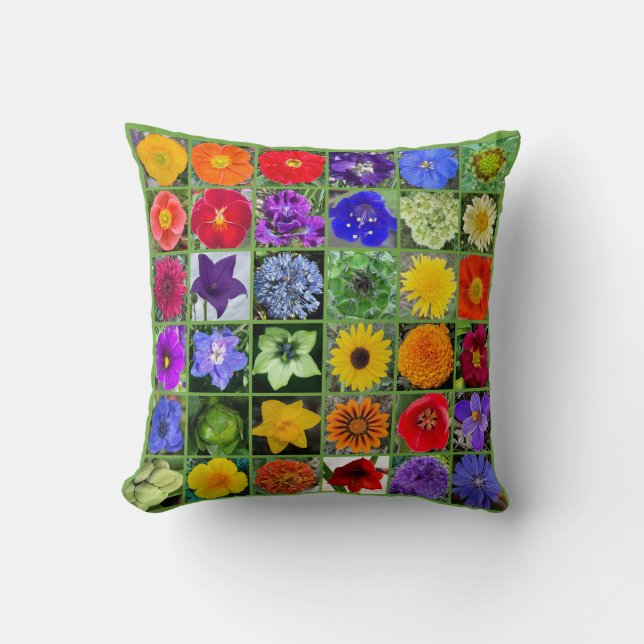 Snowcatcher's Rainbow Garden Cushion (Front)
