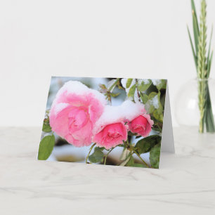 Snowcovered pink roses card