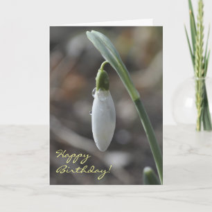 Snowdrop birthday card