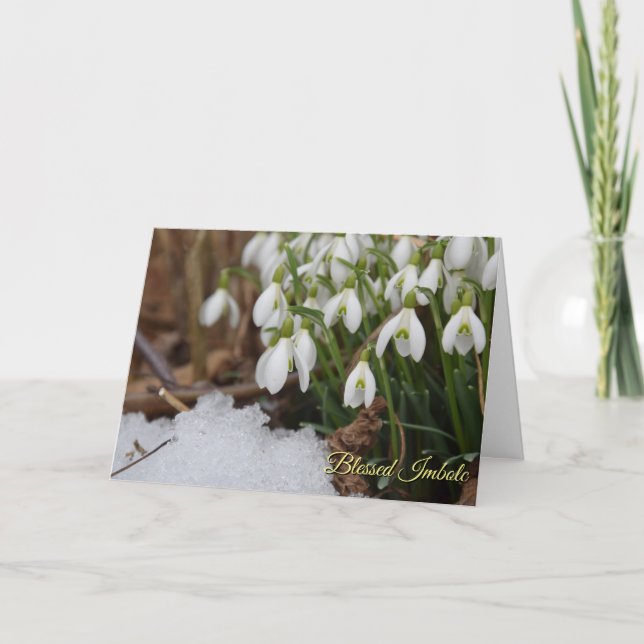 Snowdrop Blessed Imbolc Pagan Wiccan Greeting Holiday Card (Front)
