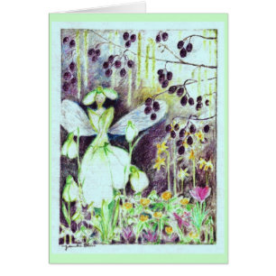 Snowdrop elve "Galanthus"