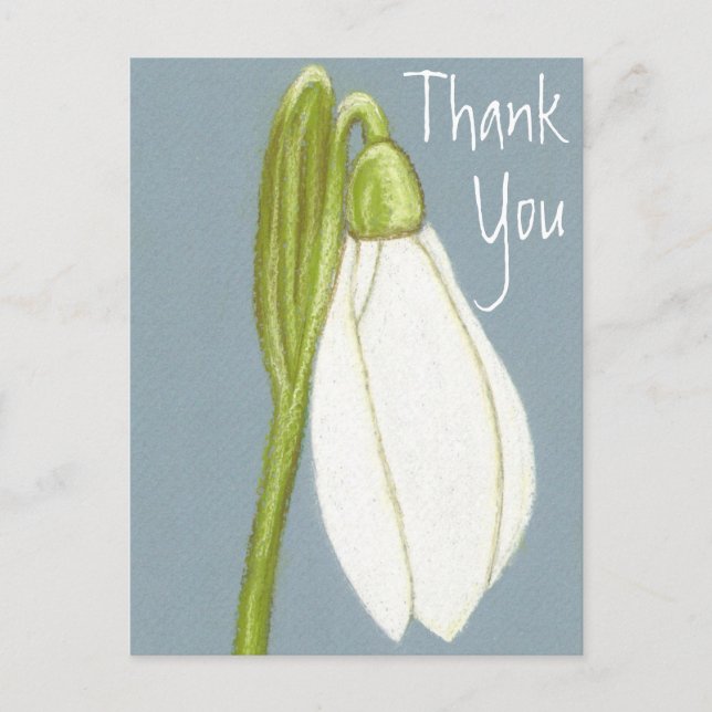 Snowdrop Flower Thank You Postcard (Front)