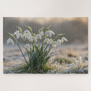 Snowdrop Frost Puzzle - Delicate Winter Nature Art