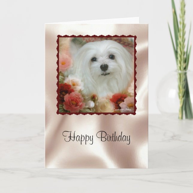 Snowdrop the Maltese Birthday Card (Front)