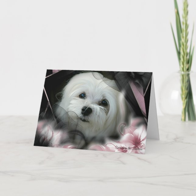 Snowdrop the Maltese Birthday Card (Front)
