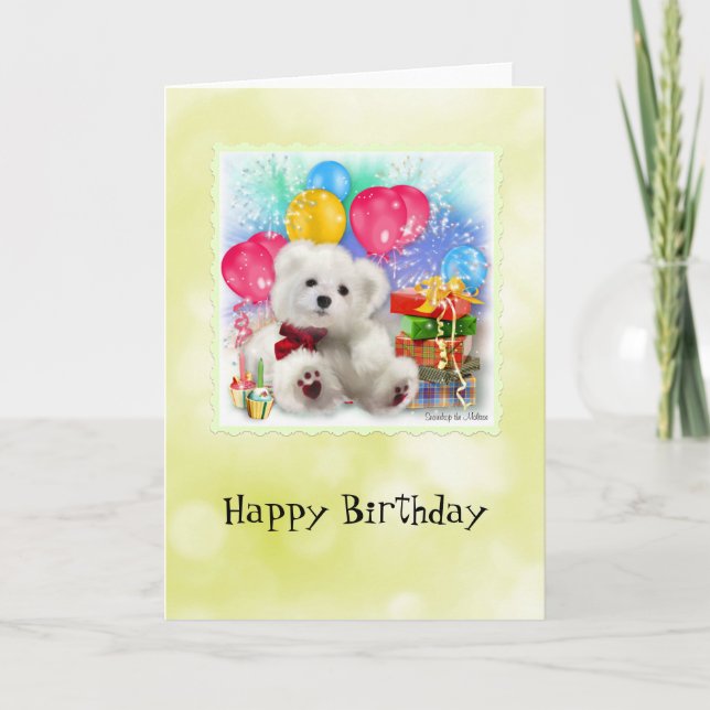 Snowdrop the Maltese Birthday Card (Front)
