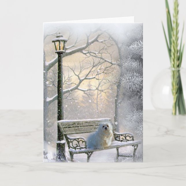 Snowdrop the Maltese Christmas Card (Front)