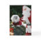 Snowdrop the Maltese Christmas Card
