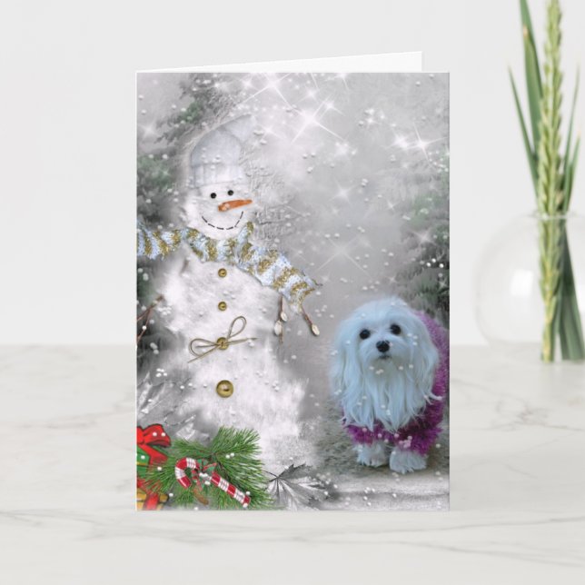 Snowdrop the Maltese Christmas Card (Front)