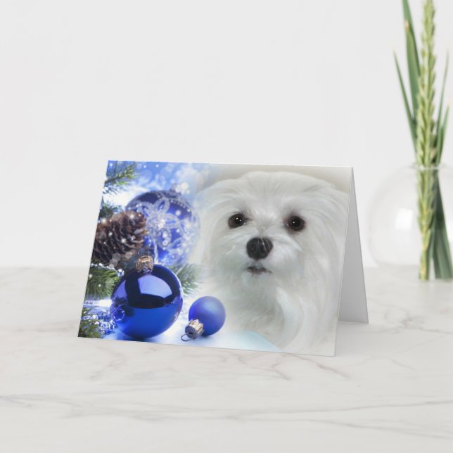 Snowdrop the Maltese Christmas Card (Front)