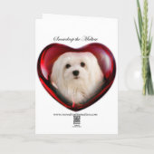 Snowdrop the Maltese Easter Greeting Card (Back)