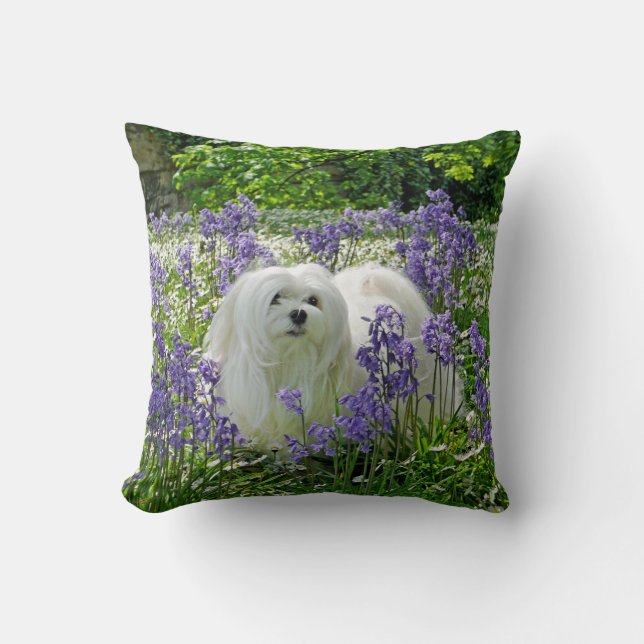 Snowdrop the Maltese Pillow/Cushion Cushion (Front)