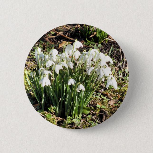 SNOWDROPS 6 CM ROUND BADGE (Front)