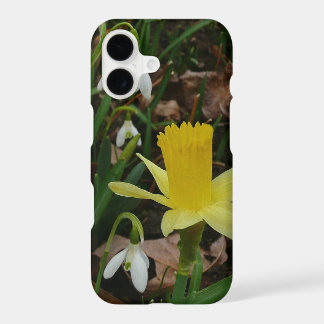 Snowdrops and Daffodil Spring Floral