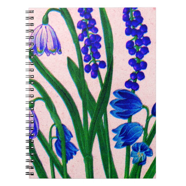 snowdrops and scilla spiral notebook (Front)