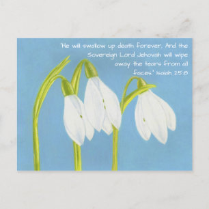 SnowDrops Flowers Postcard