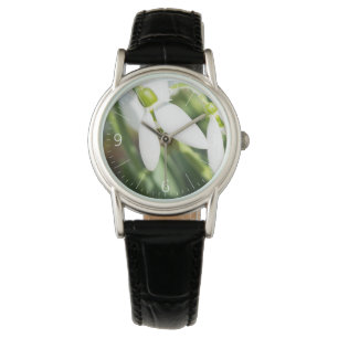 Snowdrops flowers watch
