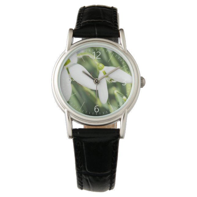 Snowdrops flowers watch (Front)
