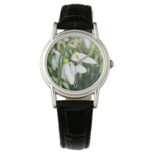 Snowdrops flowers watch
