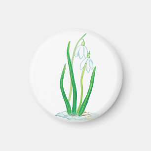 Snowdrops (Galanthus nivalis) Magnet