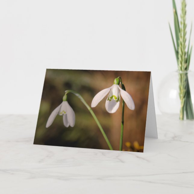Snowdrops greetings card (Front)