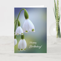 Snowdrops Happy Birthday Card