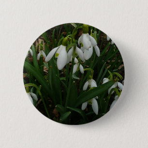 Snowdrops I (Galanthus) White Spring Flowers 6 Cm Round Badge
