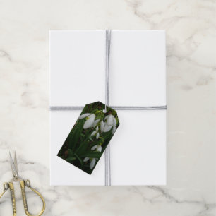 Snowdrops I (Galanthus) White Spring Flowers Gift Tags