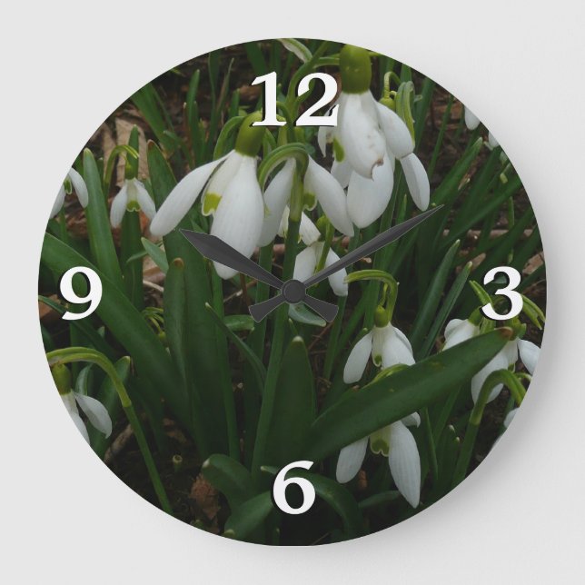 Snowdrops I (Galanthus) White Spring Flowers Large Clock (Front)