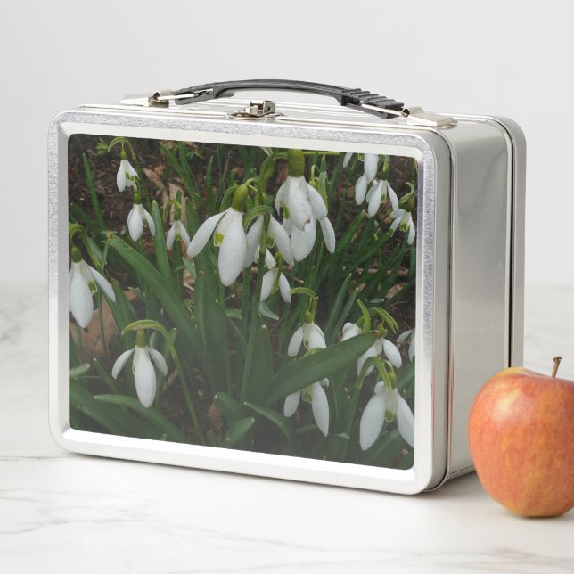 Snowdrops I (Galanthus) White Spring Flowers Metal Lunch Box (In Situ)