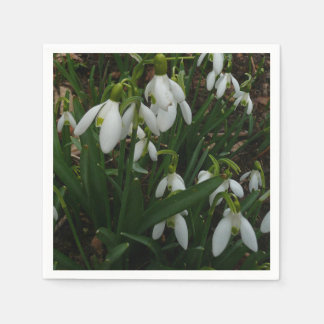 Snowdrops I (Galanthus) White Spring Flowers Napkin