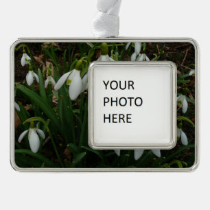 Snowdrops I (Galanthus) White Spring Flowers Silver Plated Framed Ornament