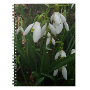 Snowdrops I (Galanthus) White Spring Flowers Spiral Notebook