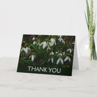 Snowdrops I (Galanthus) White Spring Flowers Thank You Card