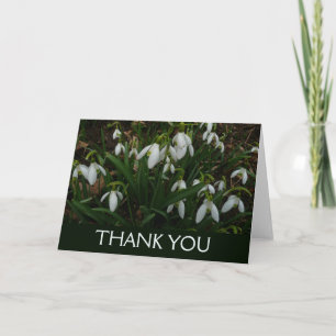 Snowdrops I Thank You Card