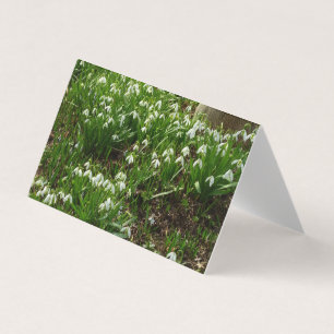 Snowdrops II (Galanthus) Spring Floral