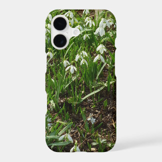 Snowdrops II (Galanthus) Spring Floral