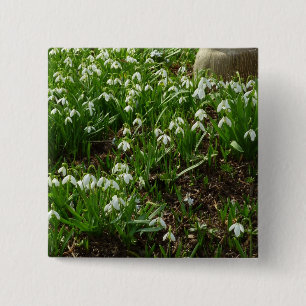 Snowdrops II (Galanthus) Spring Floral 15 Cm Square Badge
