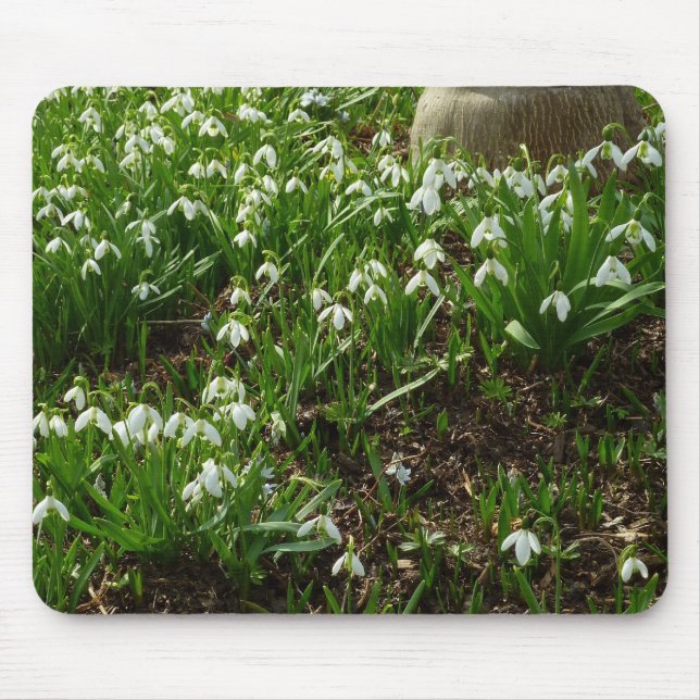 Snowdrops II (Galanthus) Spring Floral Mouse Pad (Front)
