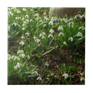 Snowdrops II (Galanthus) Spring Floral Tile
