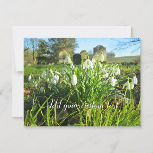 Snowdrops in the Sunshine - Personalised Postcard