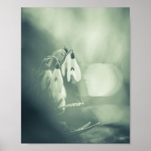 Snowdrops Nature Photo Poster